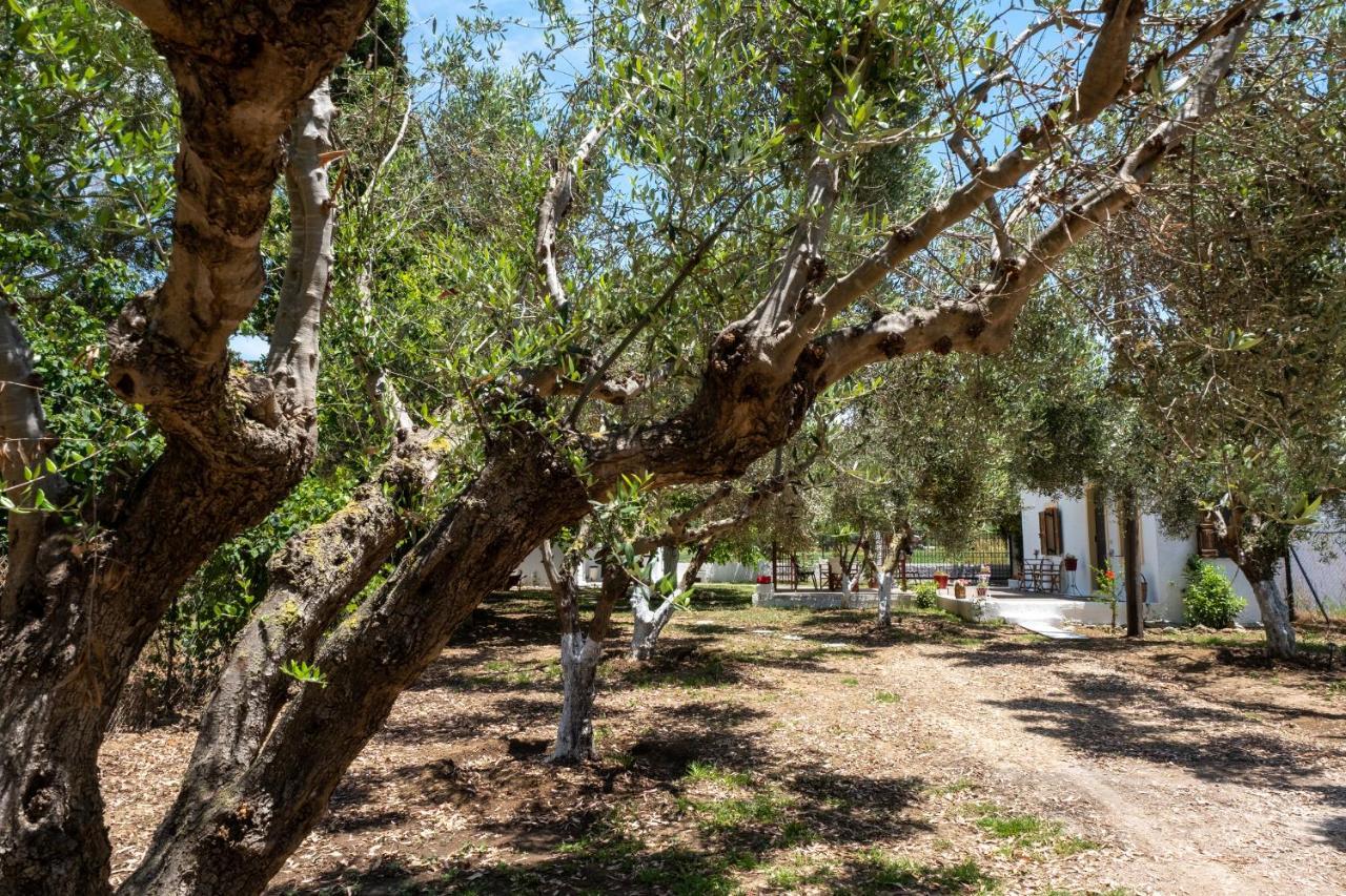 Nagia'S House, Εξοχική Κατοικία Κοντά Στη Θάλασσα! Korakochori Exterior photo